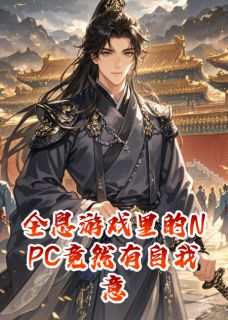 全息游戏里的NPC竟然有自我意识小说最后结局，苏晚晚慕容玄百度贴吧小说全文免费-暗夜阅读网