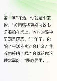 主角苏雨薇张明轩陈浩小说完整版-离婚三年，前妻带着千万下跪求我免费阅读全文