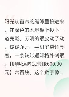重生后,不再做冤种好婶婶小说主角是苏晴林晚晴顾明远全文完整版阅读-暗夜阅读网
