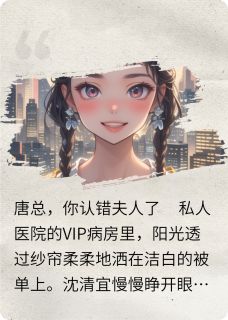 玩失忆游戏后，追妻火葬场免费小说作者盎然意全文阅读