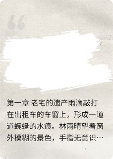 镜中的往事（林雨晴苏明远苏婉容）精彩小说目录阅读