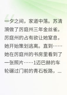 厉总，你的金丝雀要跑啦！主角是苏清漪厉庭州小说百度云全文完整版阅读-暗夜阅读网
