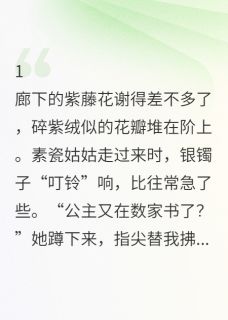 明玥记北漠沈清婉凤凰佩小说_明玥记完结版阅读-暗夜阅读网