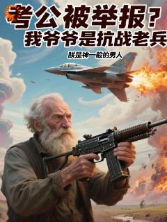 考公被举报？我爷爷是抗战老兵林烨林振南by朕是神一般的男人免费看