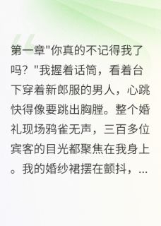 独家婚礼上的陌生新郎小说-主角林墨轩顾槐安苏晚全文免费阅读