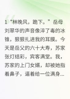 百度贴吧小说我，废婿，一筷斩鬼神，主角苏清雅王天虎林晚风全文免费-暗夜阅读网