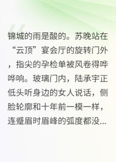 新书推荐陆先生，请止步完整版小说-苏晚陆承宇最新章节阅读-暗夜阅读网
