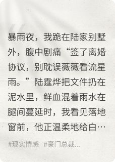 沈念晚陆霆烨完整版假死后，总裁跪求我原谅全文最新阅读