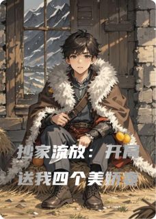 (独家)抄家流放：开局送我四个美娇妻阿紫阿圆阿灰小说