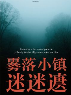 雾落镇迷局[抖音]小说-苏晚陈砚魏宗山无删减阅读