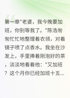 知乎小说老公出轨小三，我让全城看好戏主角是陈浩苏琳琳全文阅读