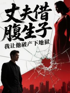 爆款热文陈凯王丽丽秦筝在线阅读-丈夫借腹生子，我让他破产下地狱全章节列表-暗夜阅读网