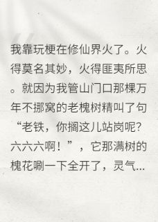 在修仙界玩梗走红小说(完整版)-猪王周清云章节阅读