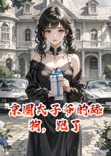 京圈太子爷的舔狗，跑了免费小说作者岑宁随全文阅读