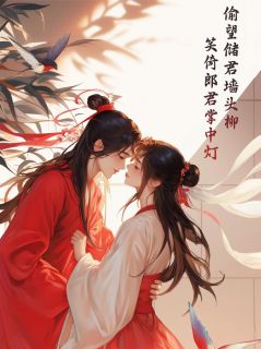 抖音爆款偷望储君墙头柳，笑倚郎君掌中灯萧珩小桃无广告阅读