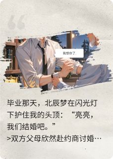 抖音热推小说哥哥说娶我，结果全家都崩溃了全文在线阅读
