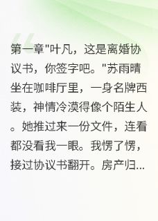 高冷妻子离婚半年后疯狂纠缠免费阅读全文，主角苏雨晴叶凡小说完整版