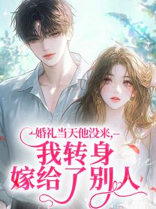 婚礼当天他没来，我转身嫁给了别人岁宁贺宴铮贺祁然-小说txt全文阅读