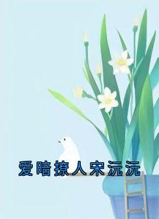 宋沅沅谢黎沈书玉(原文完整)爱暗撩人宋沅沅无弹窗免费阅读-暗夜阅读网