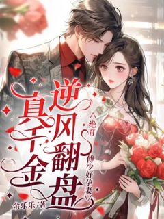 少爷，那对双胞胎好像你呀！叶锦宁傅景霆小说全文阅读