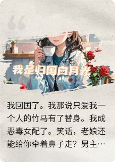 快手封辰宇封砚辞叶珍珍主角的小说全本章节大结局