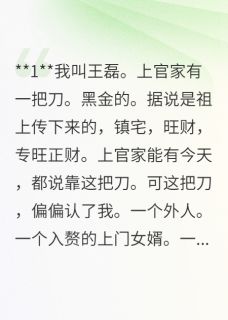 黑金刀鸣小说_黑金刀鸣小说结局阅读