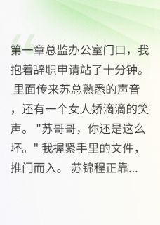 他说只想和我谈工作(新书)大结局在线阅读