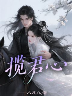 抖音揽君心txt小说阅读