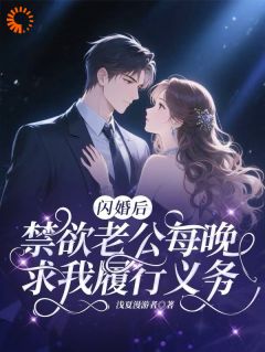 浅夏漫游者写的小说闪婚后禁欲老公每晚求我履行义务舒菀纪砚深全文阅读