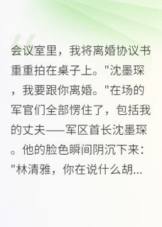 军婚散场，首长挽回太晚了小说的书名是什么