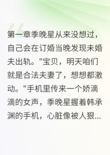 【热文】被前任陷害后闪嫁豪门主角季晚星宁時浅韩承渊小说全集免费阅读