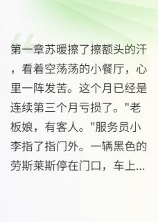 苏暖陆寒川主角小说十万月薪养崽日记抖音文免费阅读全文