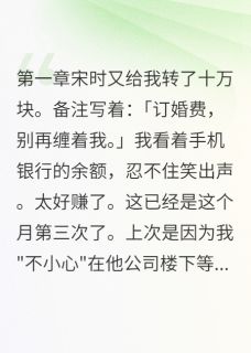 我拿他当提款机他拿我当真爱小说(完本)-宋时安娜无错版阅读