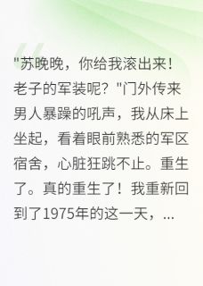 好文热推小说军嫂罢工三年，首长求我别离婚主角晚晚王政委王军全文在线阅读