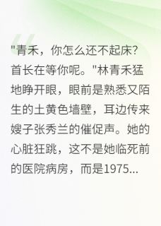 林青禾沈时深王美丽小说无广告阅读-暗夜阅读网