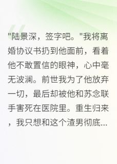 热门推荐妻子怀孕七月，前男友送来遗书by初七不爱吃番茄小说正版在线-暗夜阅读网