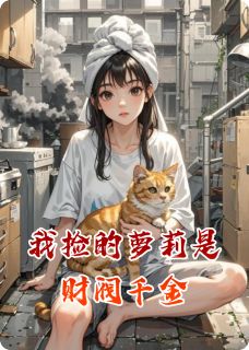 小说推荐我捡的萝莉是财阀千金完结版全章节阅读