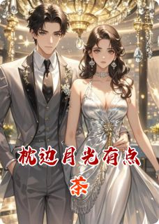枕边月光有点茶小说的书名是什么