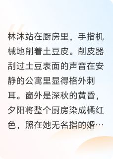 巴黎没有周太太快手热推林沐周正免费阅读