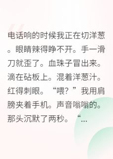 丈夫的遗嘱里，我是第一嫌疑人陈明远王强小说全章节最新阅读-暗夜阅读网