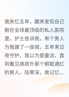 主人公陆寒深苏暖在线免费试读失忆五年前夫为我建座城最新章节列表-暗夜阅读网