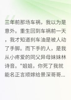 车祸重生我让白莲花妹妹坐牢八年(爱晒太阳的我)最佳创作小说全文在线阅读-暗夜阅读网