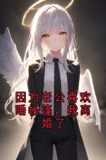 热门小说因为老公喜欢睡帐篷，我离婚了完整版全文阅读-暗夜阅读网