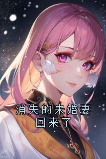 江延苏婉开灯小说全章节最新阅读-暗夜阅读网