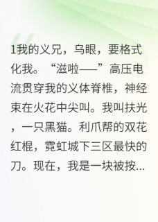 一只赛博猫，被迫在江湖当大哥小说在线阅读，主角阿啃翠翠精彩段落最新篇-暗夜阅读网