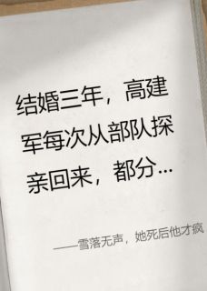 老书虫看了N遍的雪落无声，她死后他才疯最新章节-暗夜阅读网