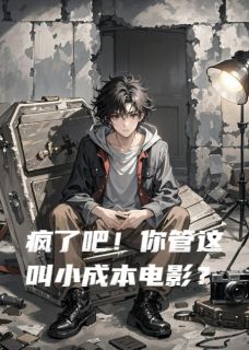 疯了吧！你管这叫小成本电影？小说最后结局，陈凯江凡秦昊百度贴吧小说全文免费