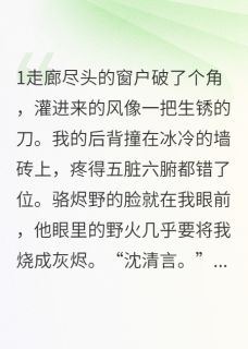 骆烬野林宇泽沈清言小说结局