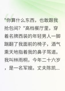 军嫂被欺负后，首长老公回来了(陈凯王泽宇)小说全章节目录阅读