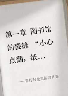 苏晚沈辞安小说<青柠时光里的向日葵>全文在线阅读